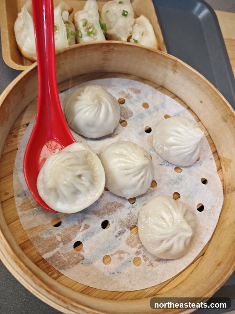 Soup Dumplings