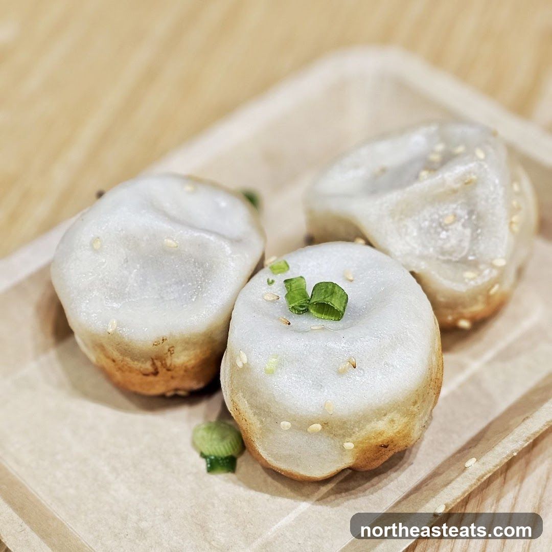 Pan-fried dumplings