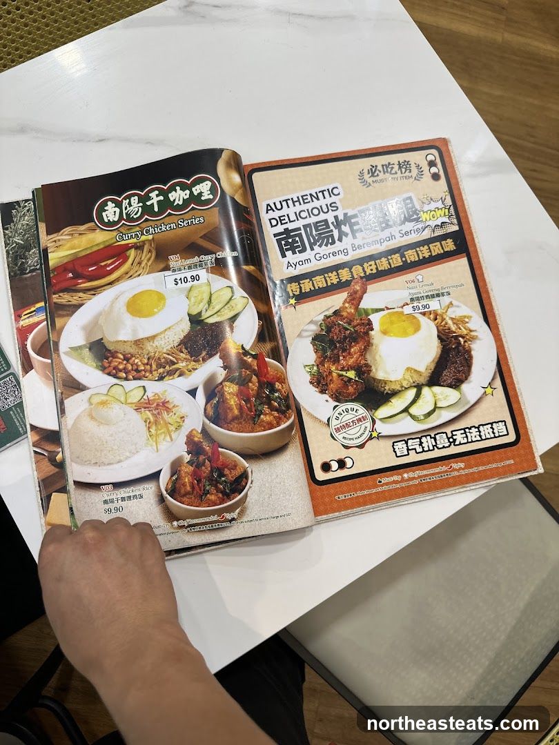 Curry Chicken Series & Ayam Goreng Berempah Series