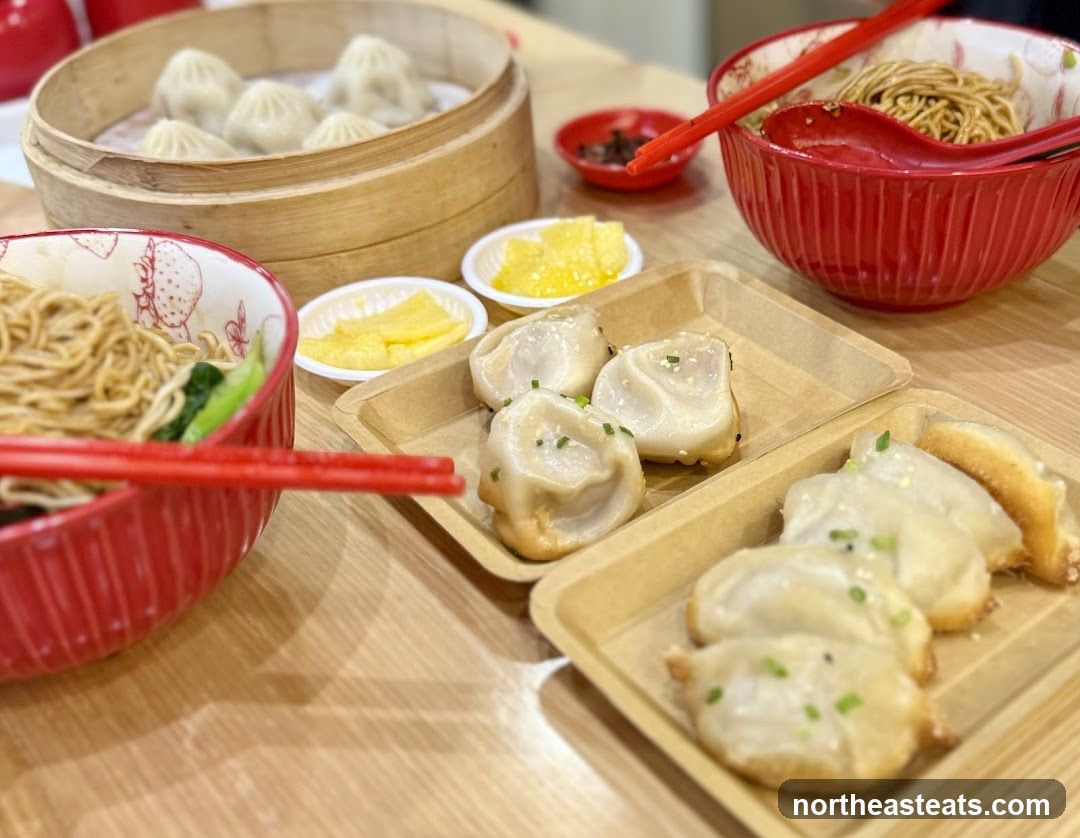 Dumplings and Noodles
