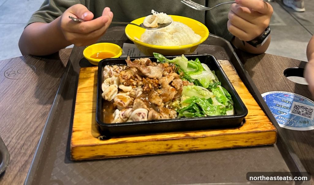 Sizzling Plate Meal
