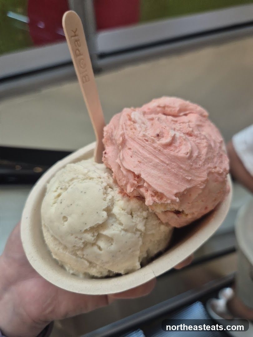 Two Scoops of Ice Cream