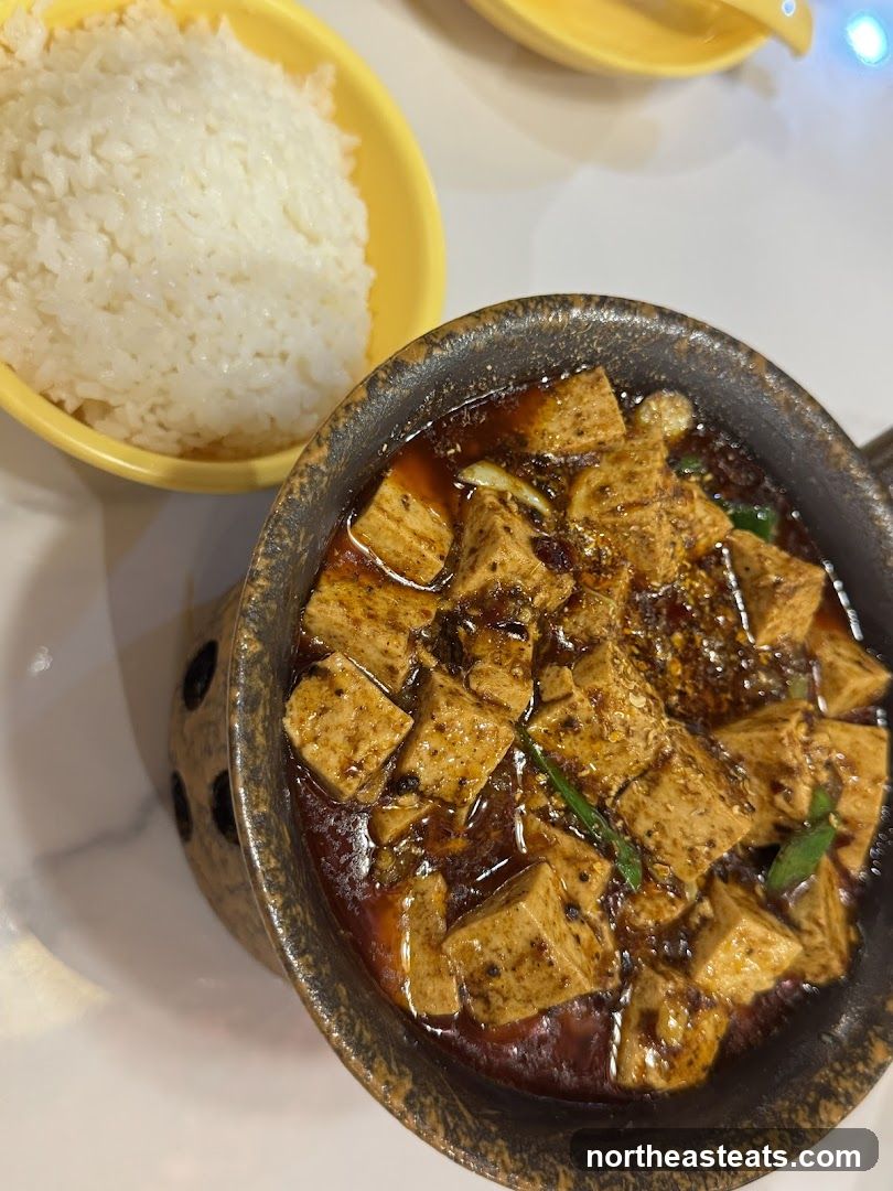 Mapo Tofu with Rice