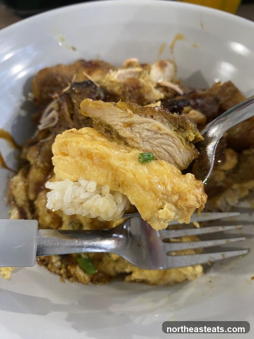Close-up of a Forkful of Rice and Fried Chicken