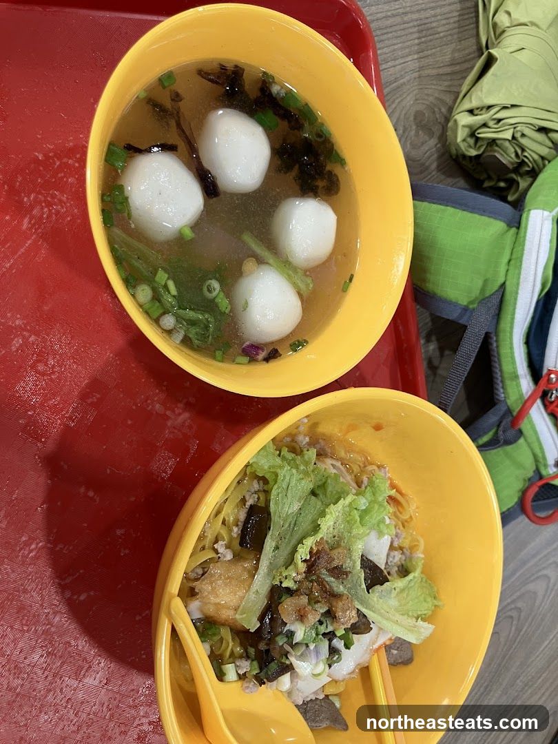 Noodles and Fishball Soup