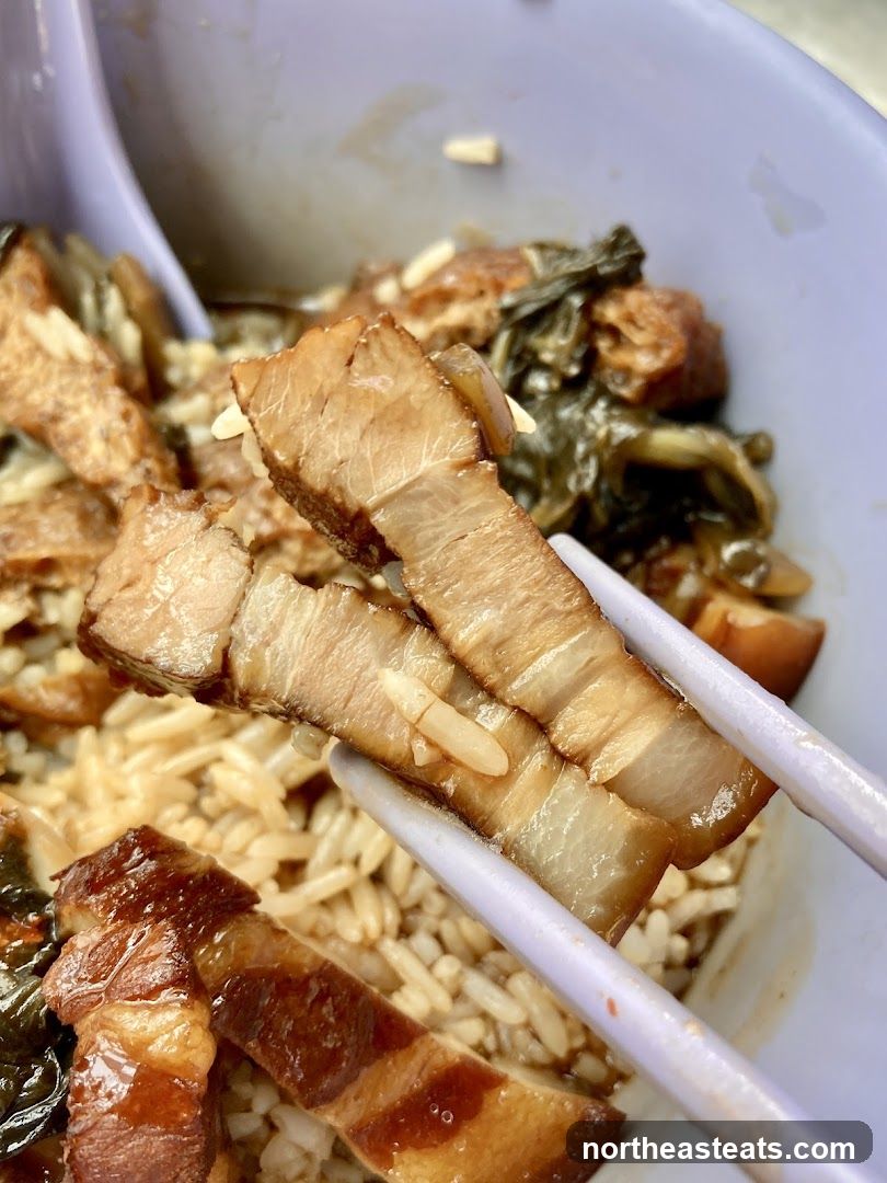 Braised Pork Belly with Rice