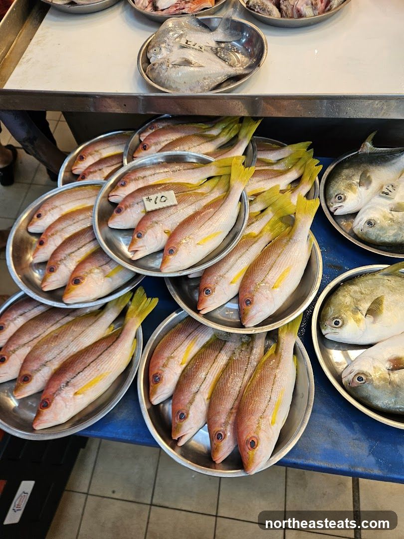 Fresh Fish Display