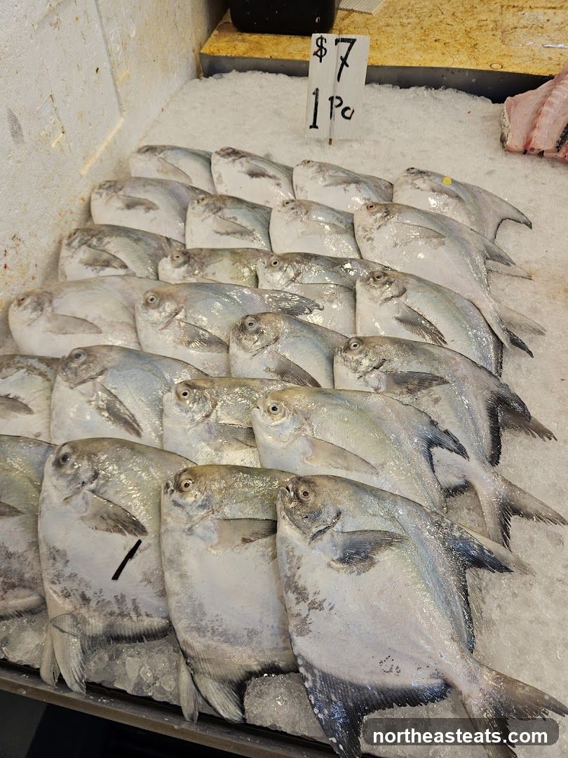 Fresh Fish Display