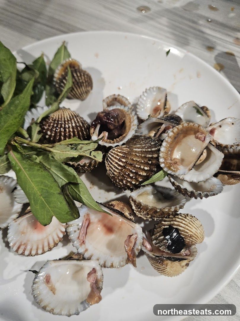 Plate of Cockles