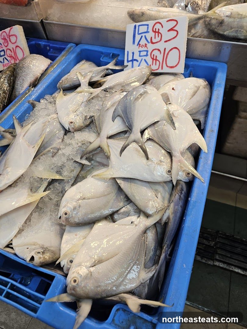 Fresh Fish Display