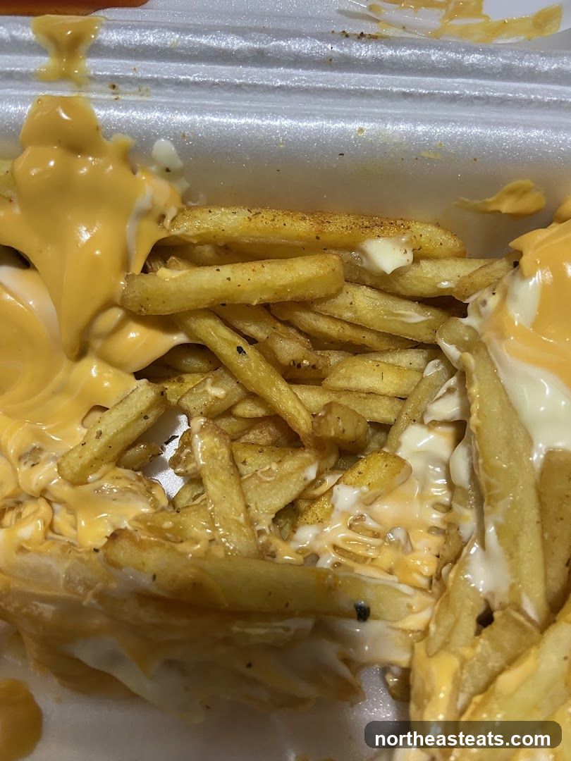 Cheese Fries