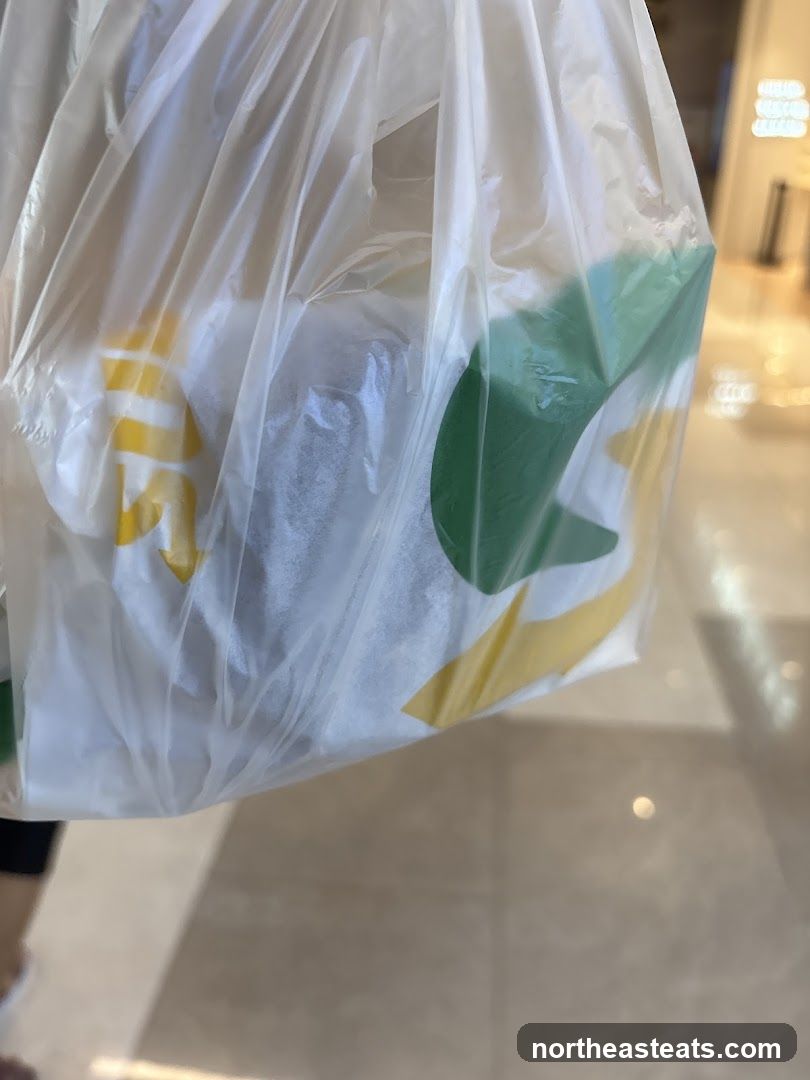 Subway Bag