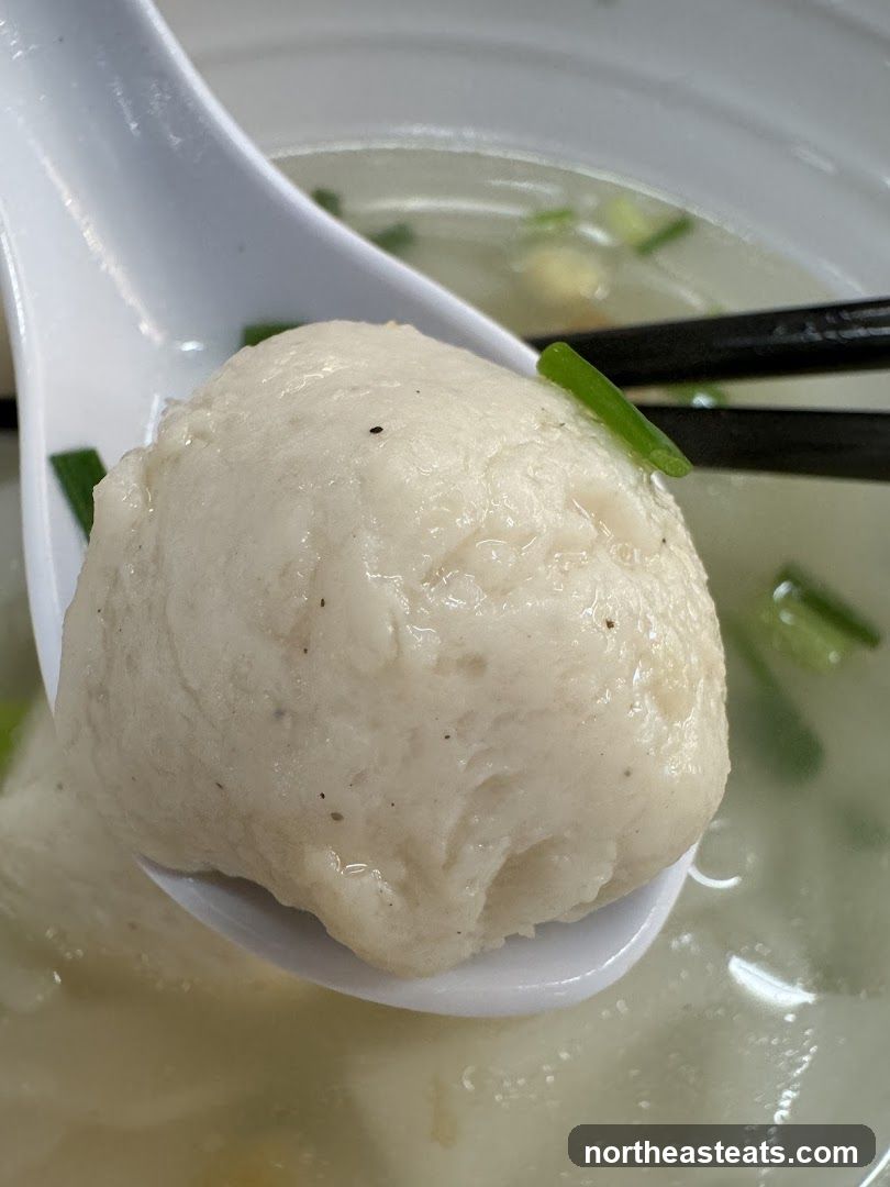 Fish Ball Soup