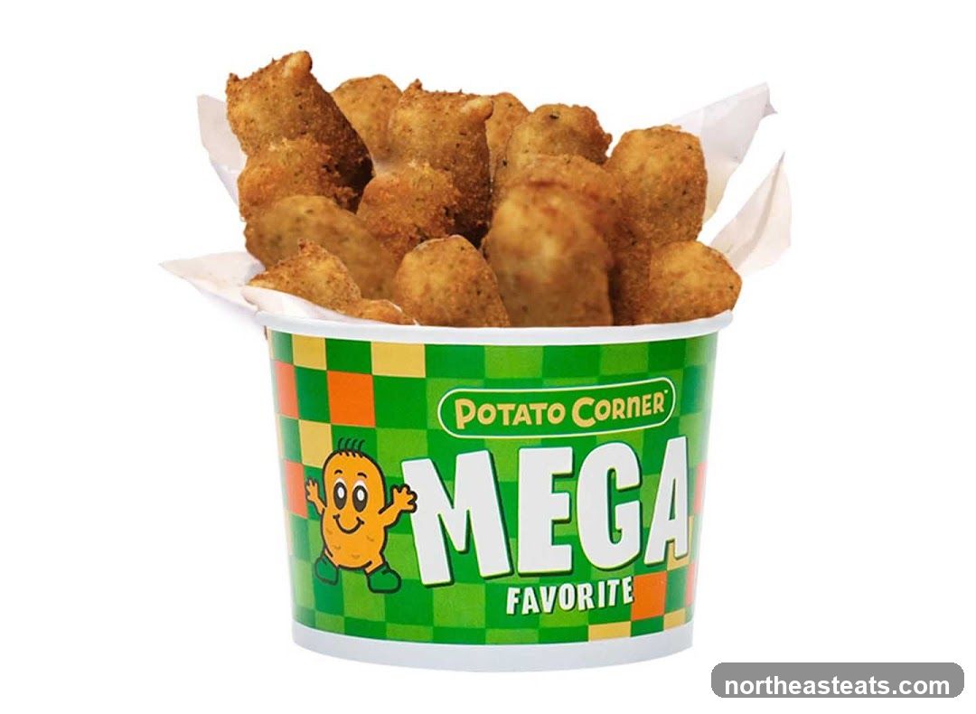 Potato Corner Mega Favorite Bucket