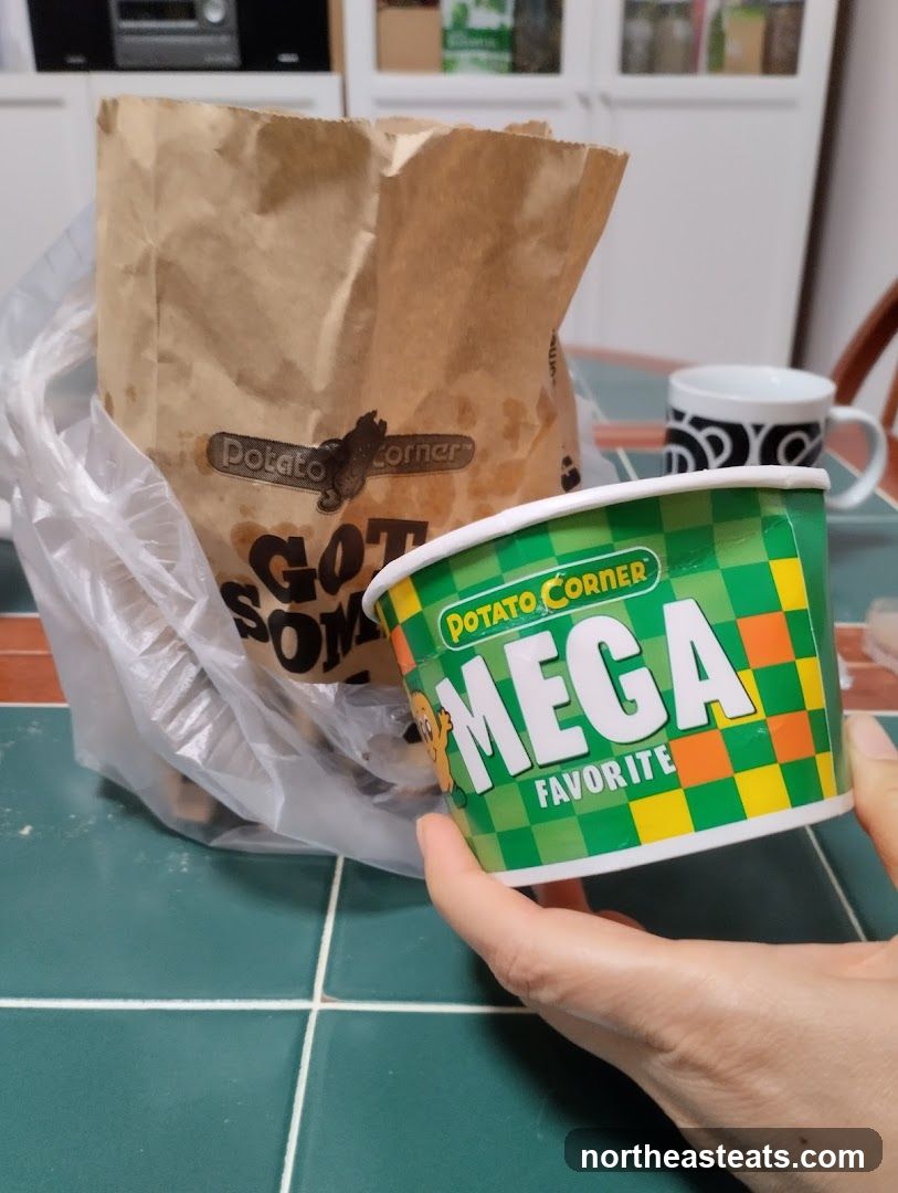Potato Corner Mega Favorite
