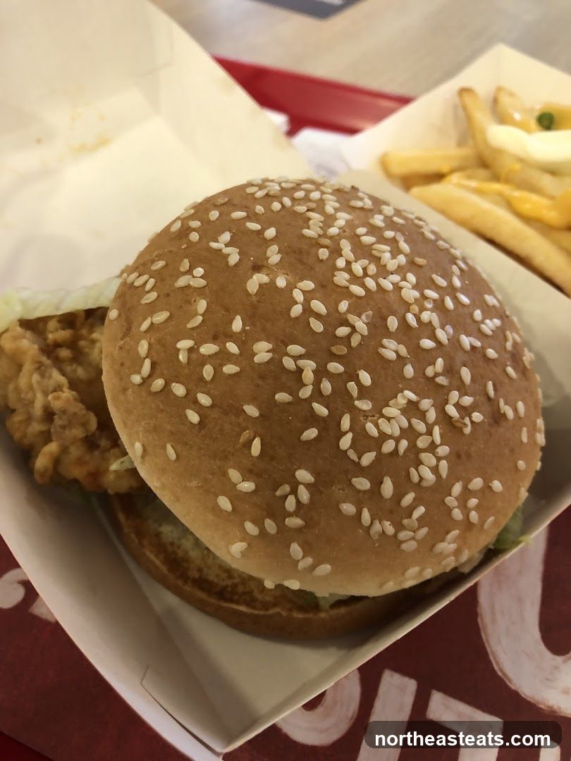 Burger and Fries