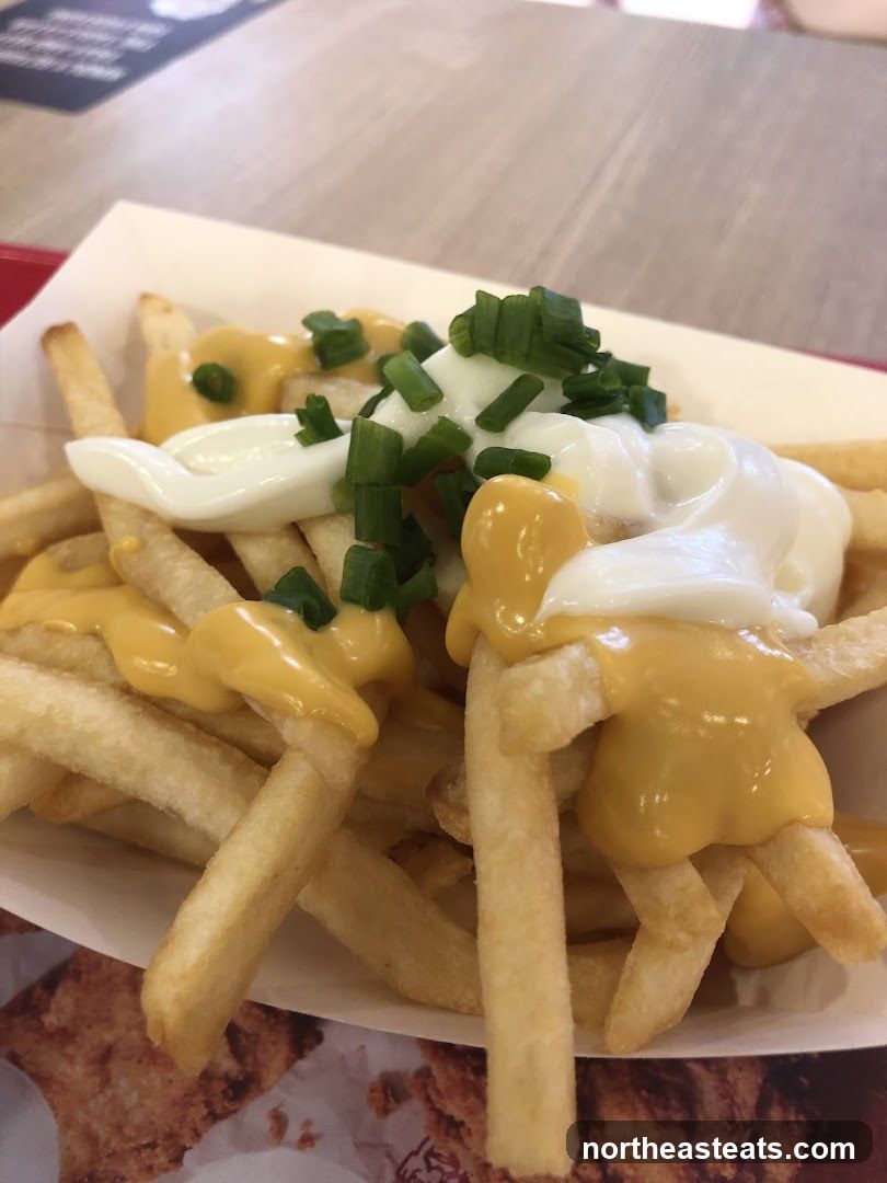 Cheese Fries with Toppings