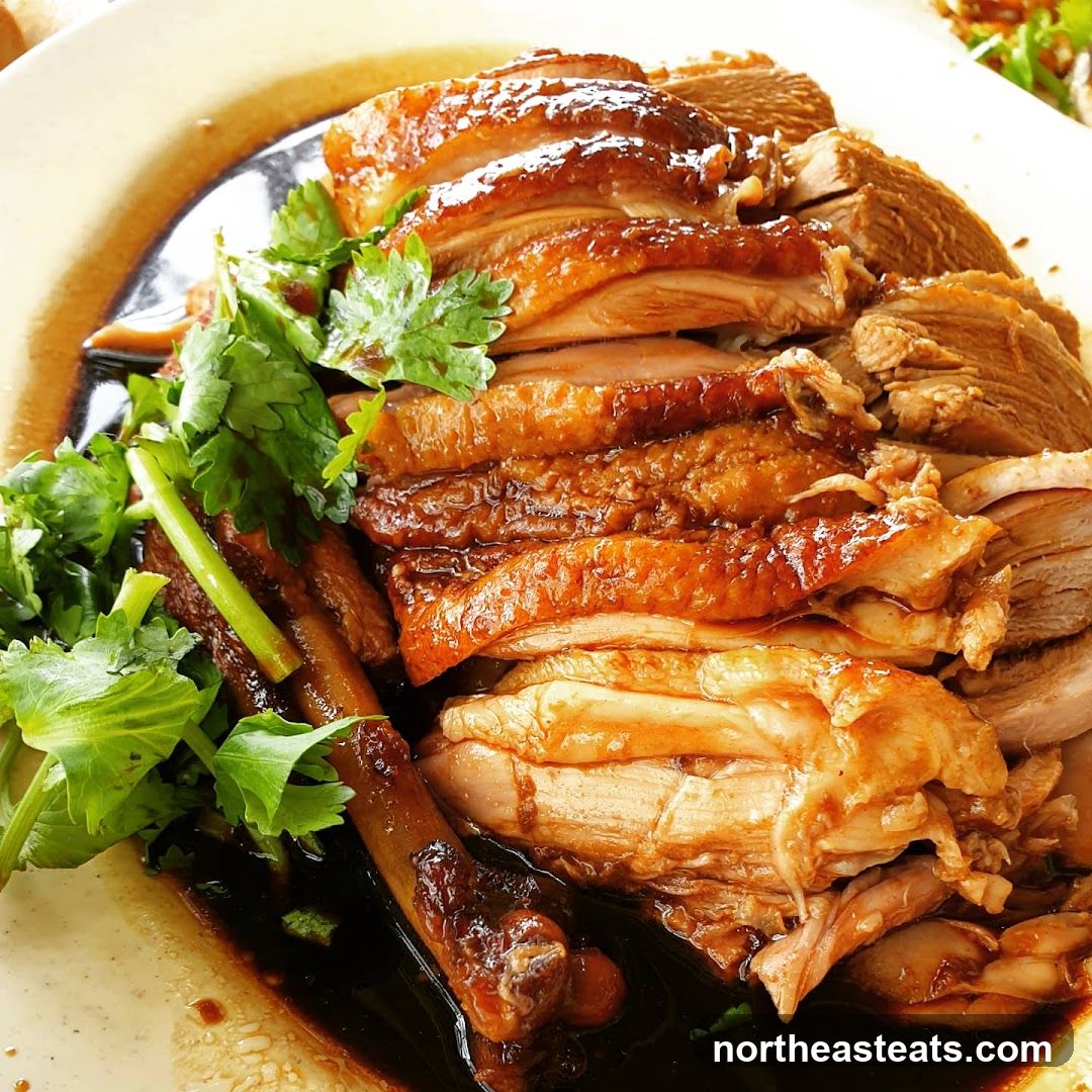 Braised Duck Dish