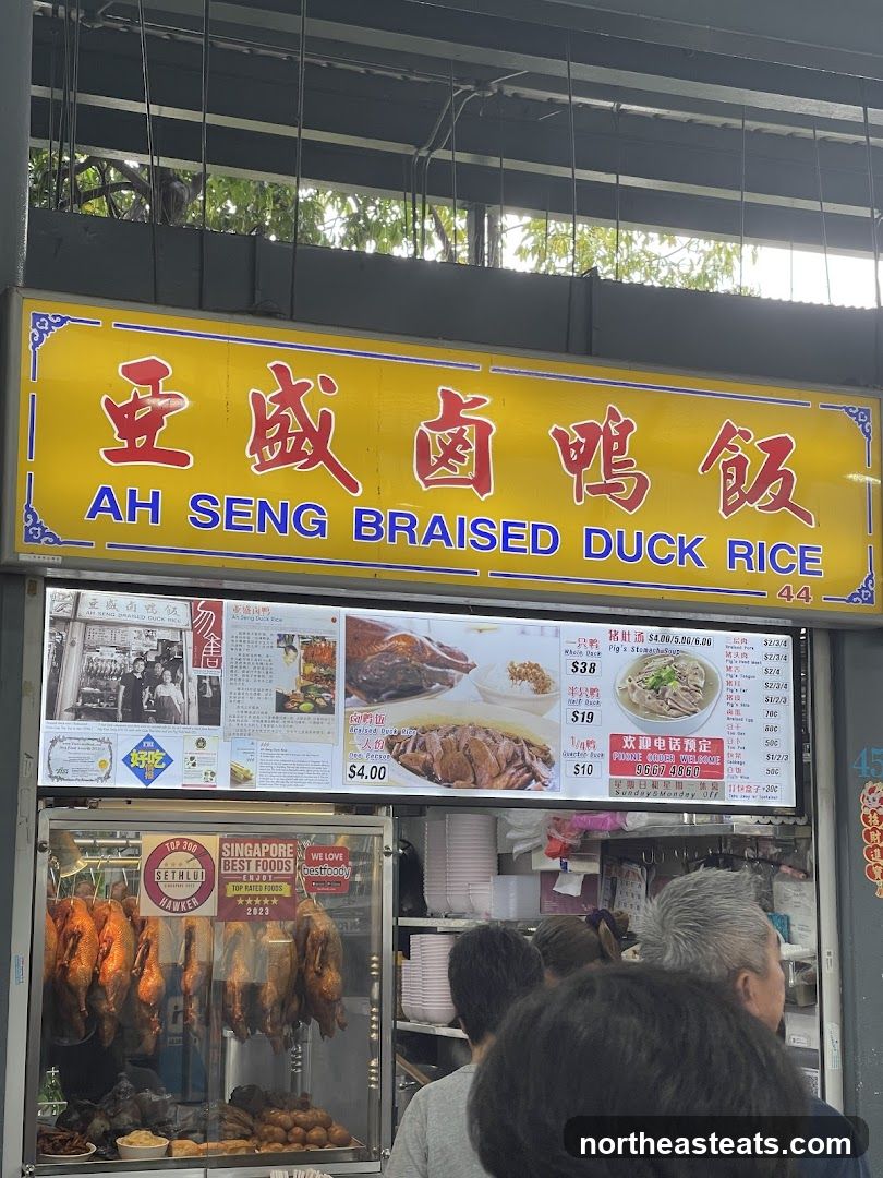 Ah Seng Braised Duck Rice Stall