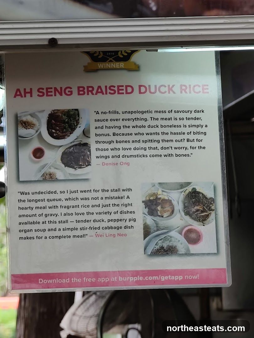 Ah Seng Braised Duck Rice Advertisement