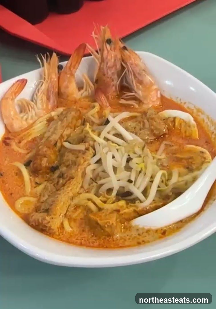 Laksa with Prawns