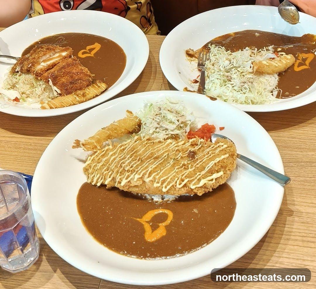 Curry dishes with fried toppings