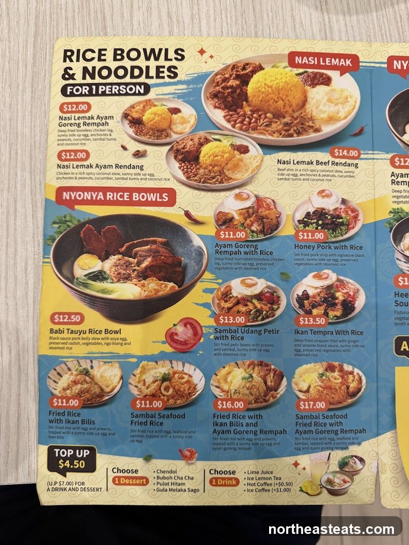RICE BOWLS & NOODLES