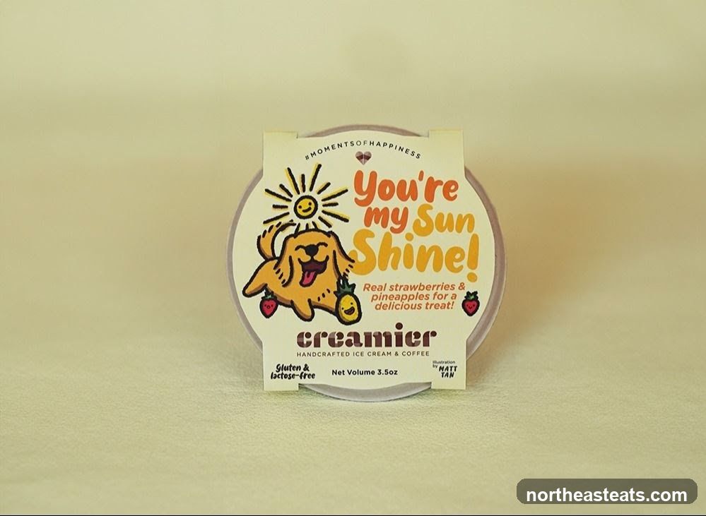 Ice Cream Container
