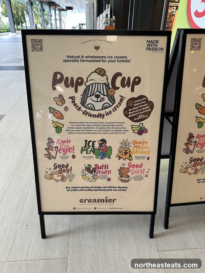 Pup Cup Ice Cream for Dogs