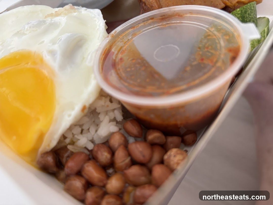 Nasi Lemak Meal