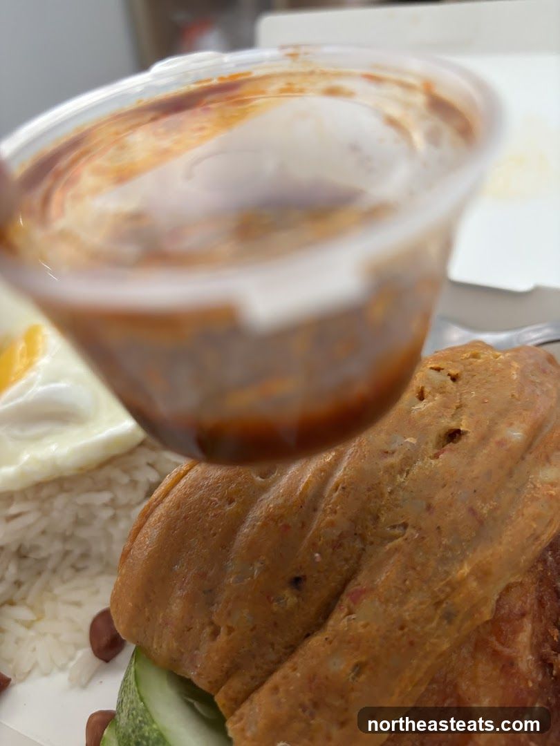 Nasi Lemak with Sambal