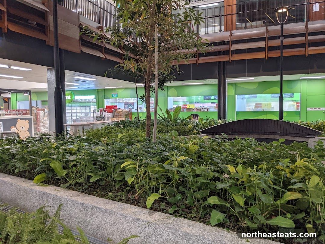 Indoor greenery with store in background
