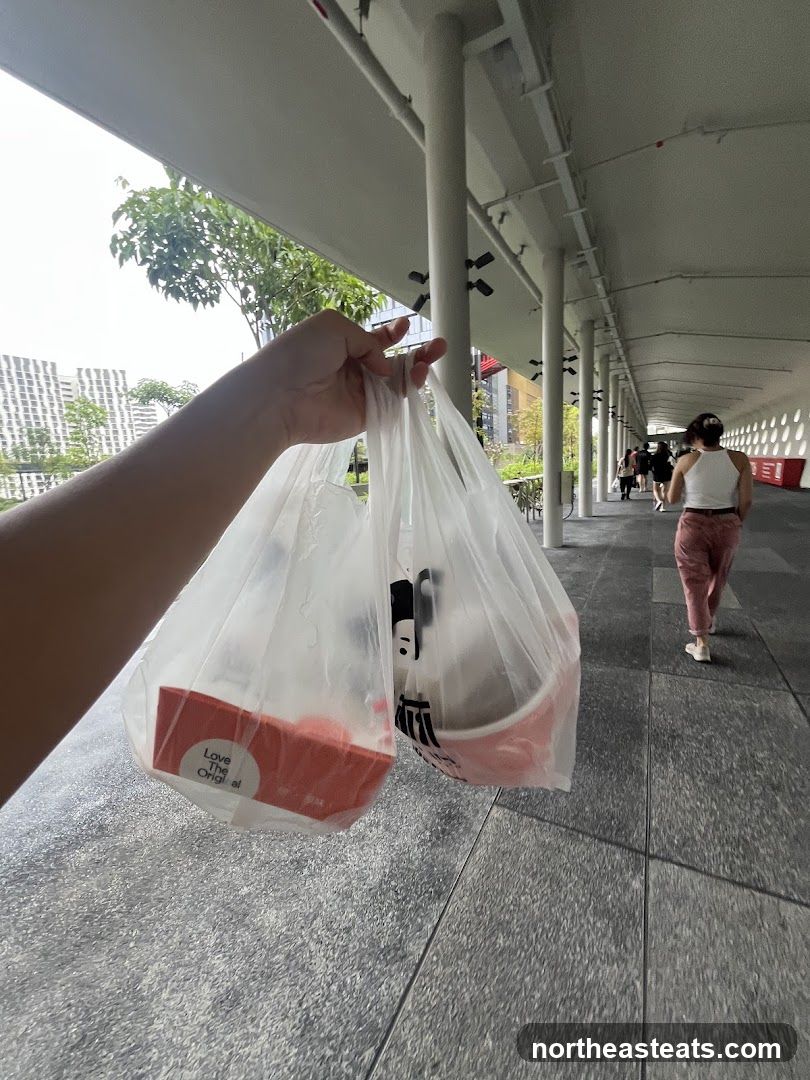 Takeaway Food Bags