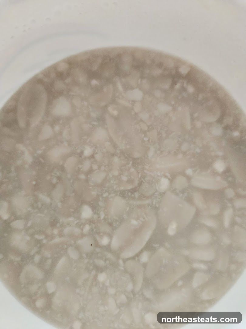 Almond Milk with Almond Pieces
