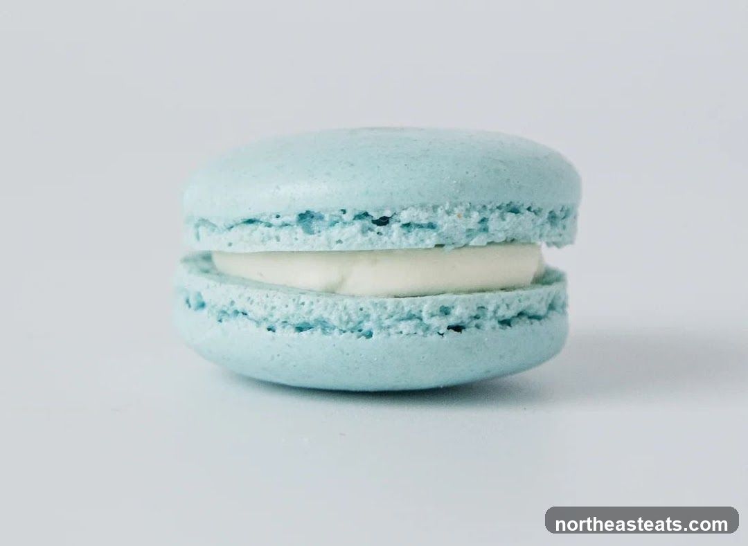 Blue Macaron