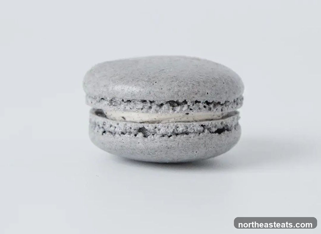 Gray Macaron