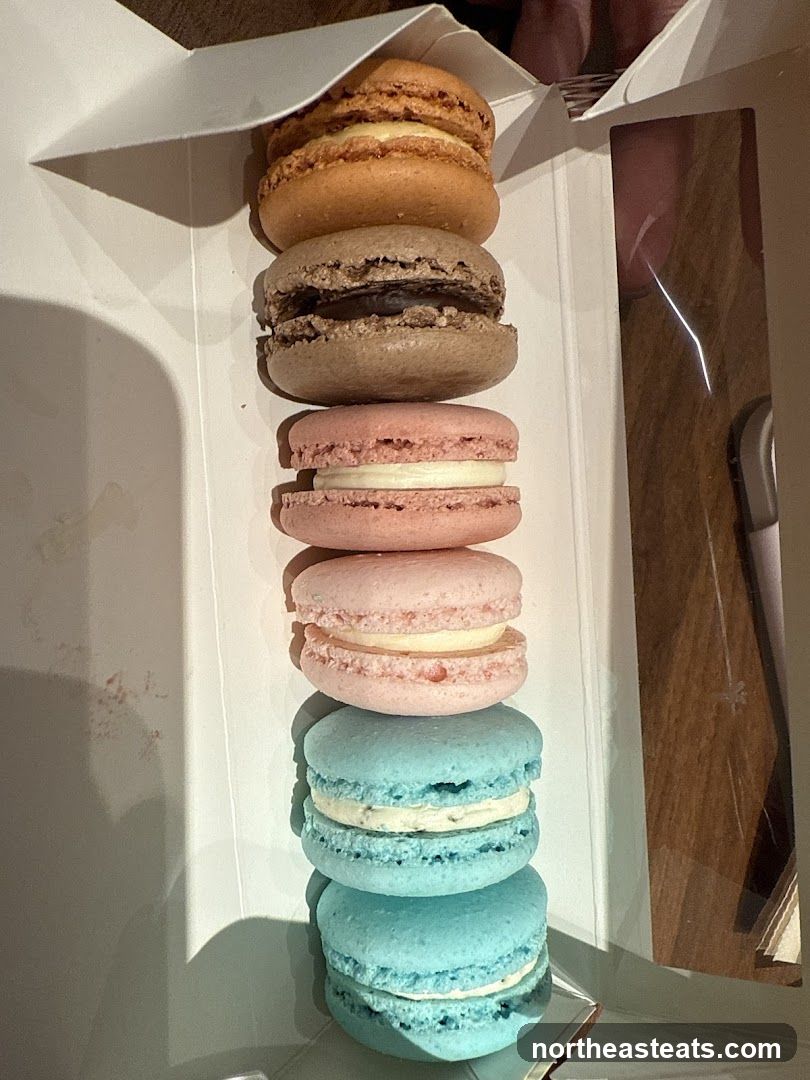 Macarons in a Box