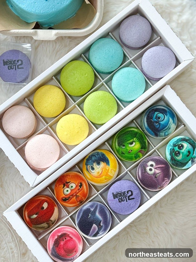 Inside Out 2 Themed Macarons