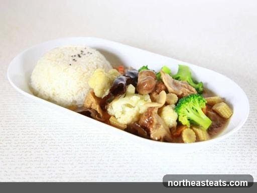 Rice with Stir-fried Vegetables and Meat