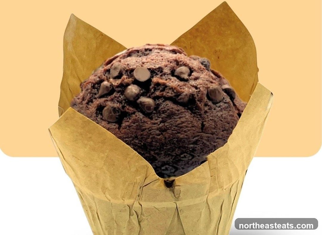Chocolate Chip Muffin