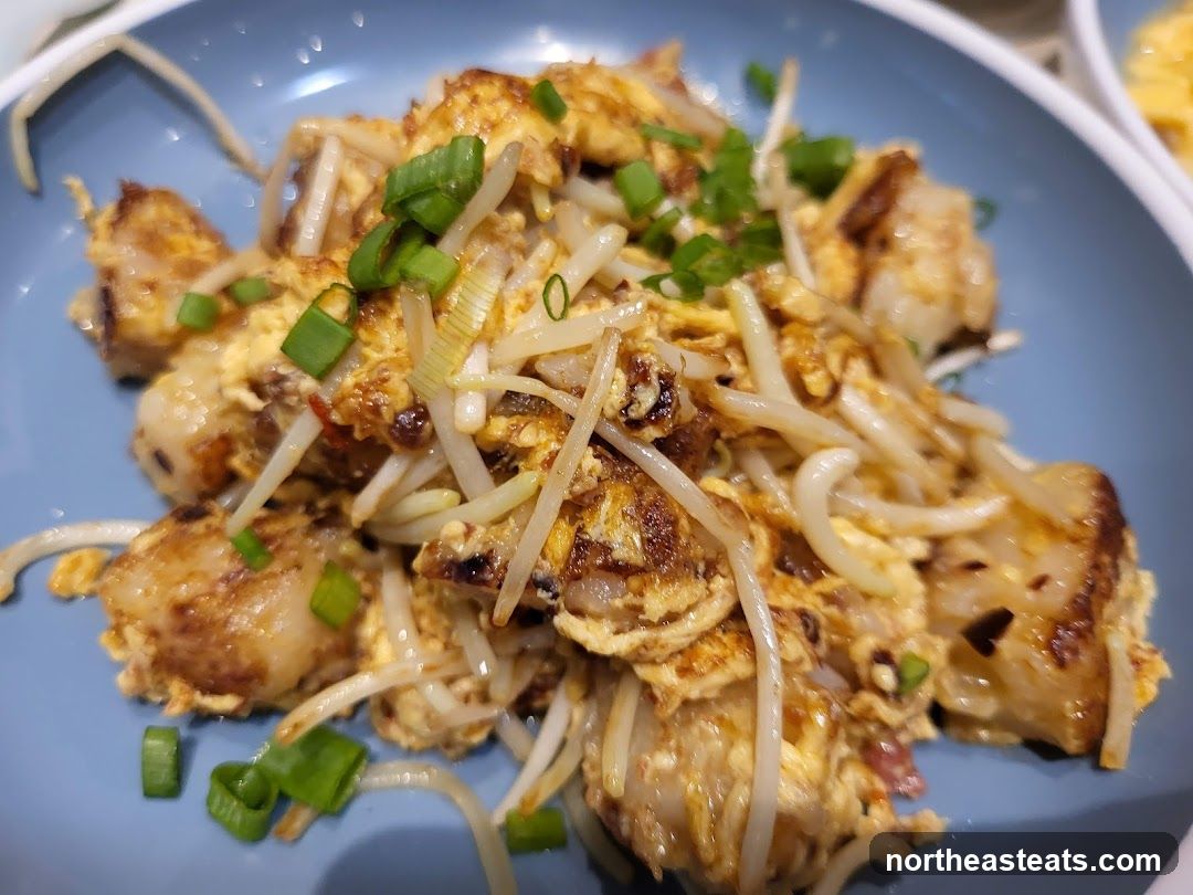 Fried Turnip Cake with Bean Sprouts and Scallions