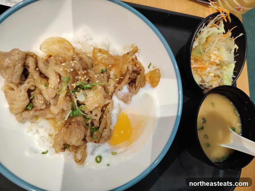 Beef and Rice Bowl with Side Salad and Miso Soup