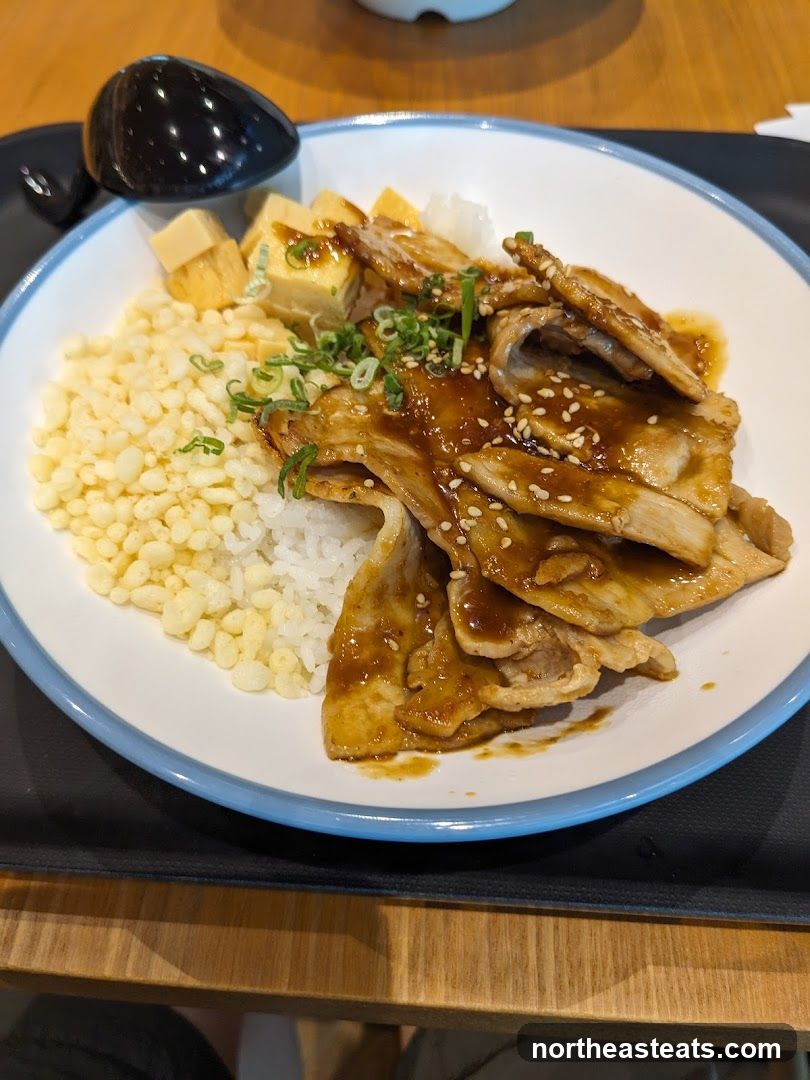 Pork Donburi