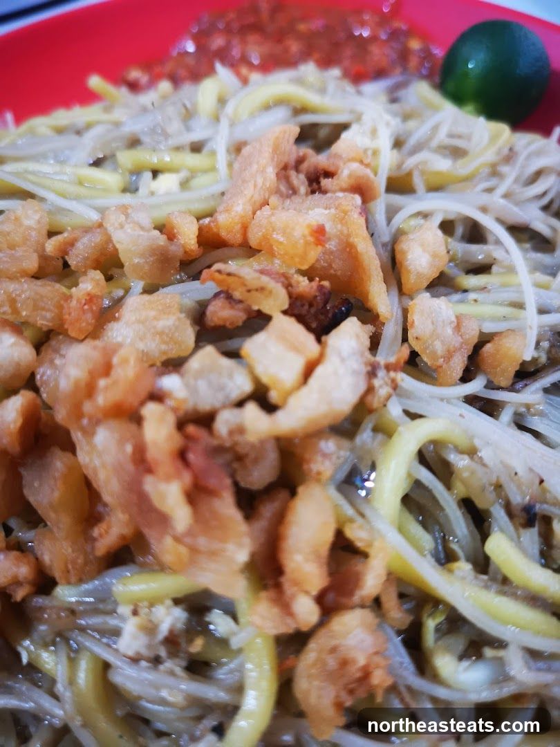 Noodles with Crispy Toppings