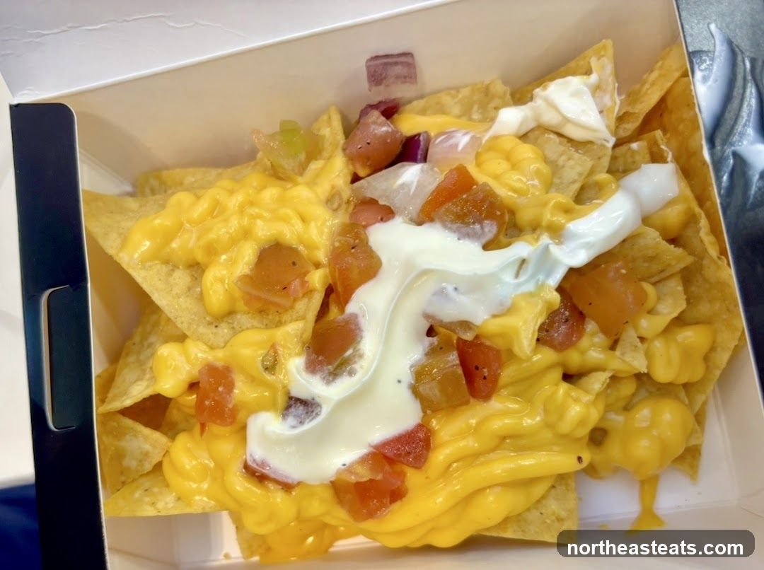 Nachos with Cheese and Toppings