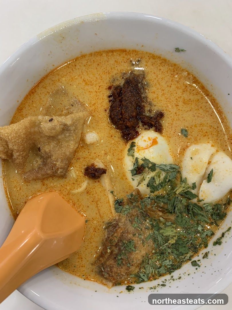 Laksa Noodle Soup