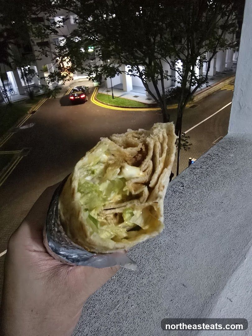 Person holding a wrap with a street scene in the background