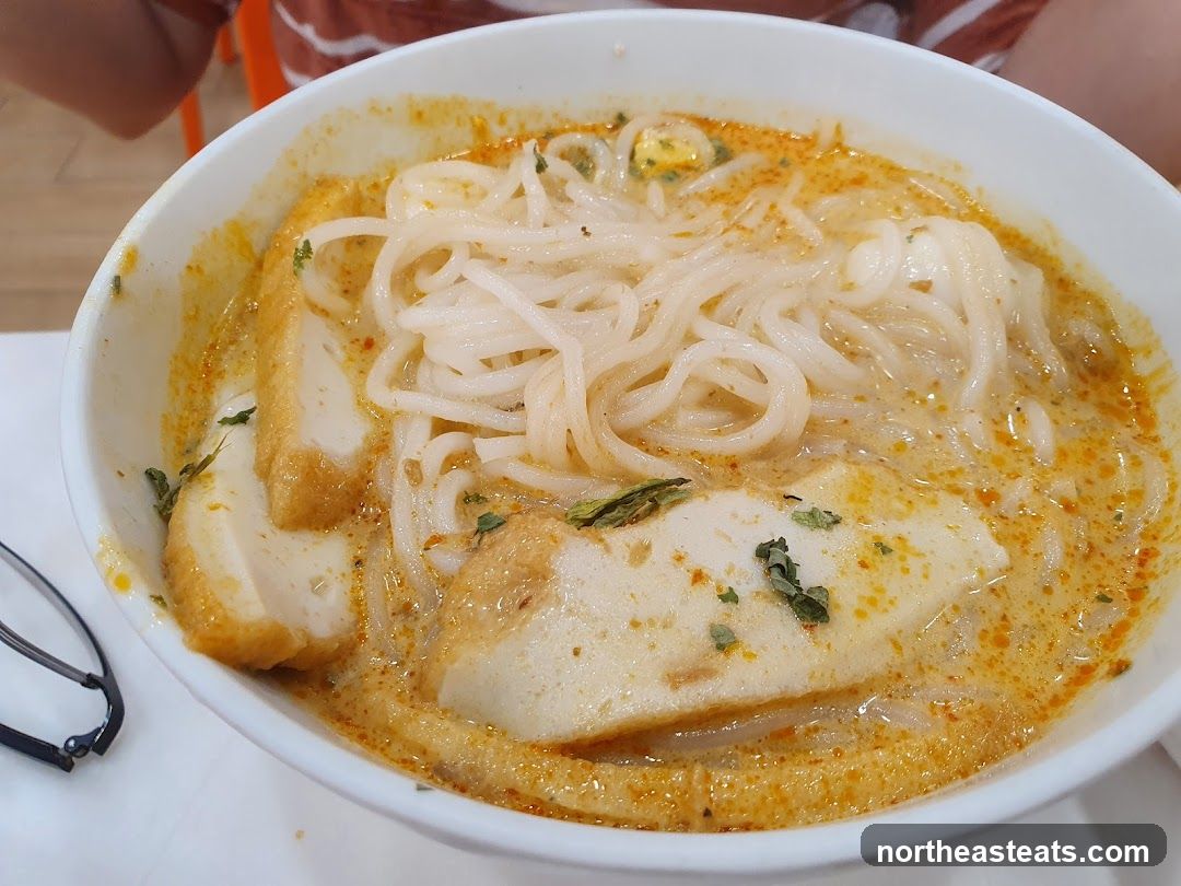 Laksa Noodle Soup