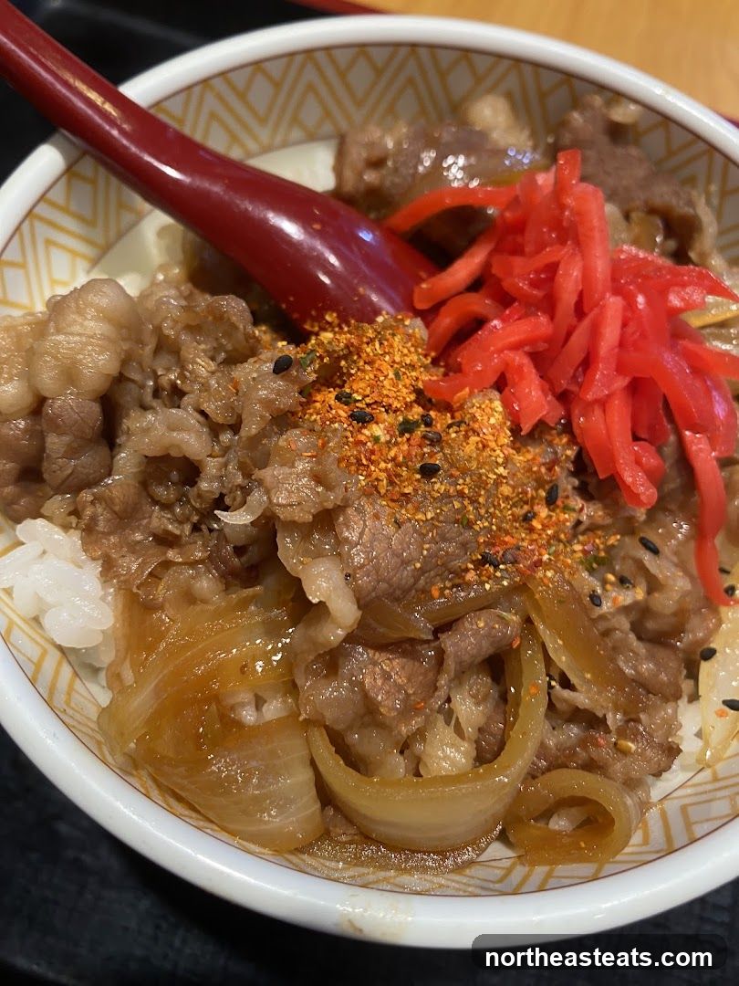 Beef bowl with pickled ginger and spices