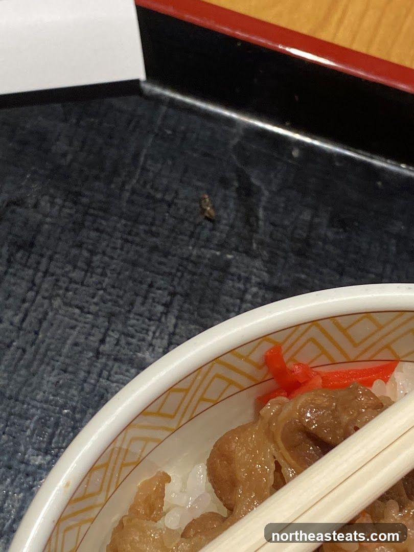 Food Tray with a Fly